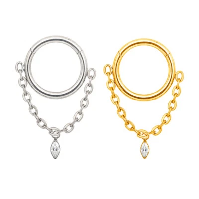 1,2mm Titan Clicker Ring mit Anhänger Kette Ohr Segment Silber Helix Daith Rook - Bild 1 von 3