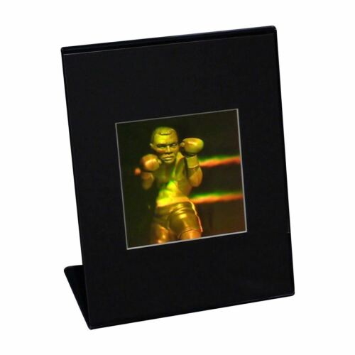 3D Boxer Multi-Channel Hologram Picture DESK STAND Photopolymer Type Film - Picture 2 of 7