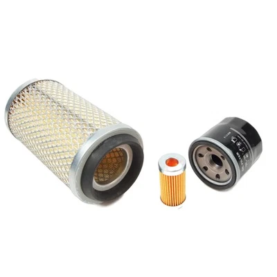 BOLENSISEKIWHITE FIELD BOSS Filterkit für Iseki TX 1000 - TX1500 | Bolens | alte Variante