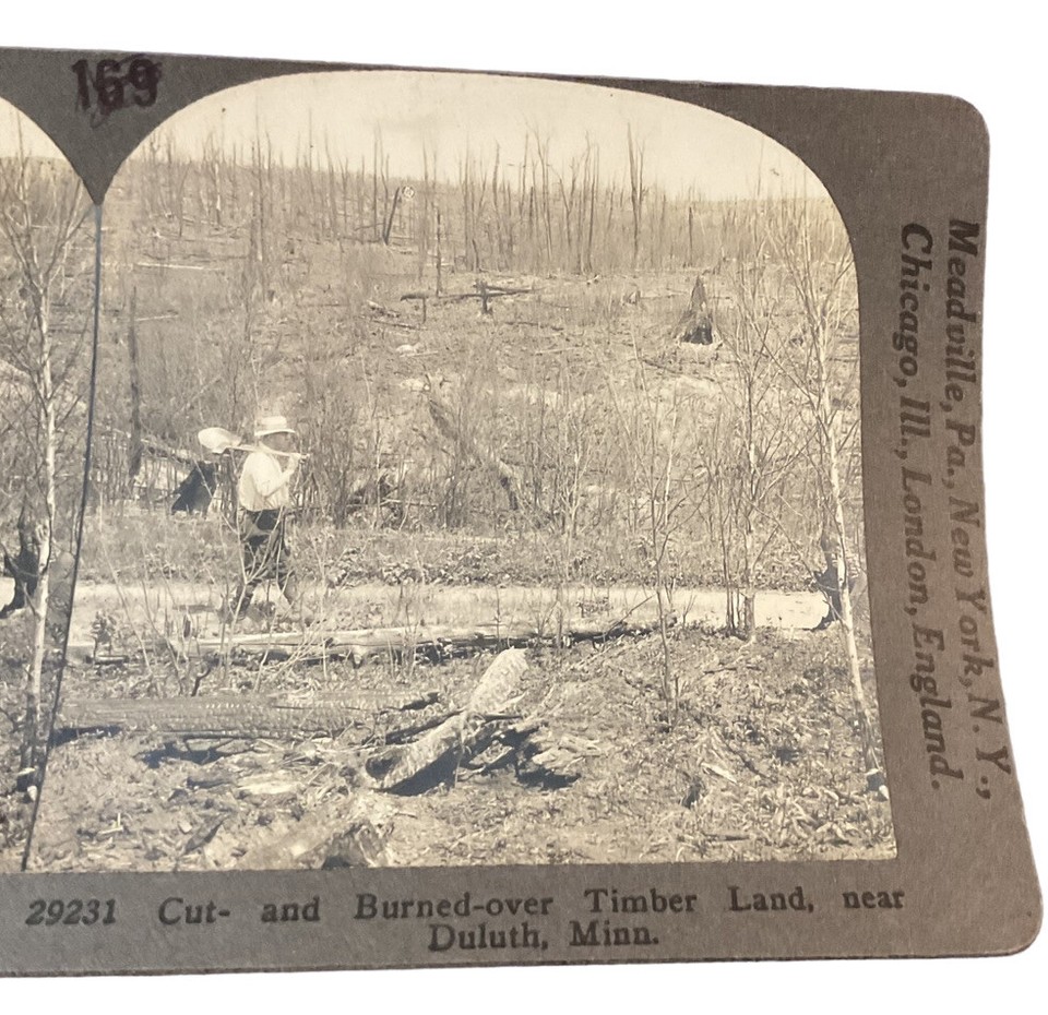 Duluth MN Timber Land Burned Cut Man Shovel Walking 1920s Keystone