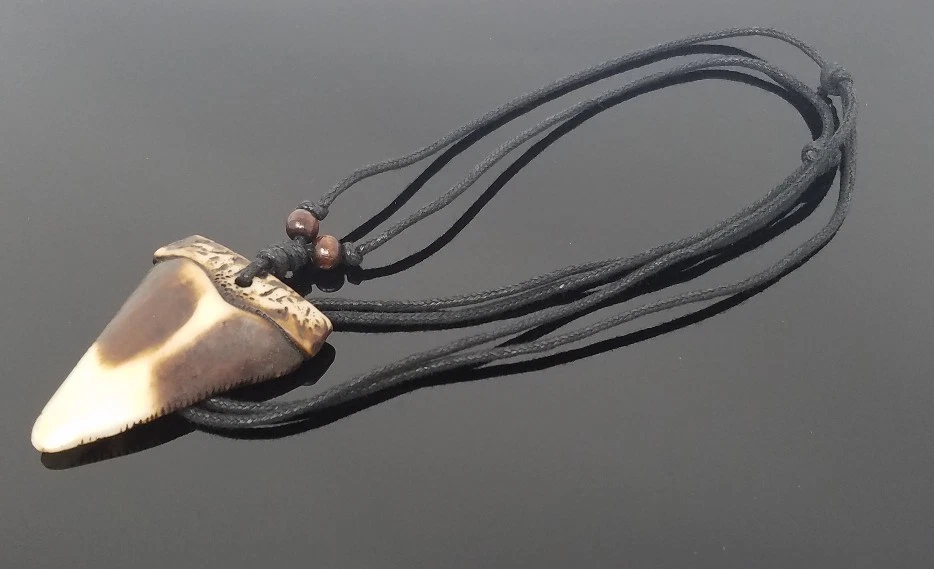 Shark tooth deals necklace ebay