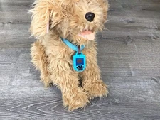 Sky Rocket My Fuzzy Friend Moji Interactive Plush Robo Labradoodle Dog