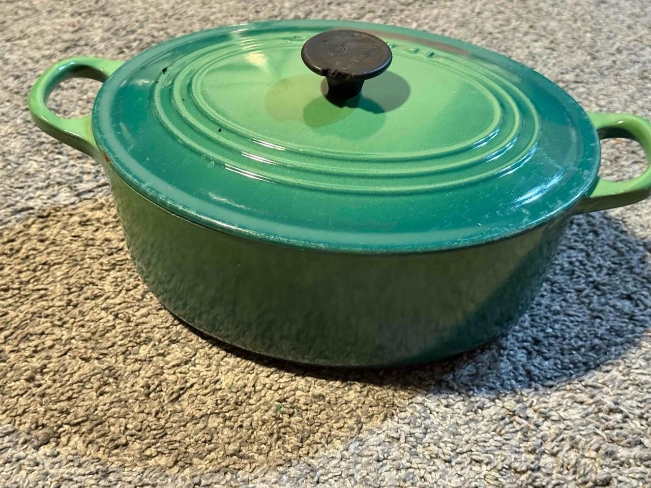 Le Creuset Enamel Cast Iron Dutch Oven w/ Lid #25 Double Handle Oval Green
