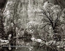 1939/80 Vintage ANSEL ADAMS Landscape Yosemite Merced River Tritone Photo Art