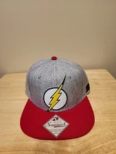 Bio World Merch The Flash Snapback Grey