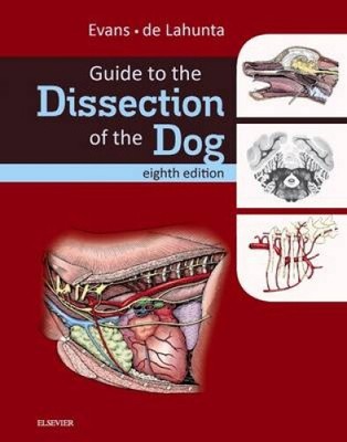 Guide to the Dissection of the Dog (.NET Developers Series)