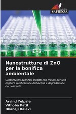 Nanostrutture di ZnO per la bonifica ambientale by Arvind Yelpale (Italian) Pape