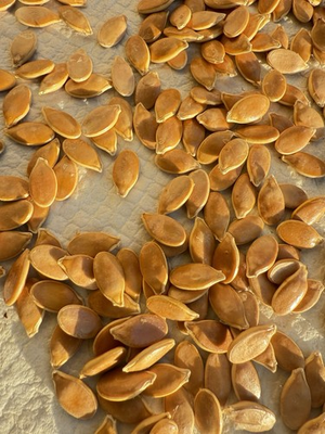 #ad #ad Dill#x27;s Atlantic Giant Pumpkin Seeds 2 seeds for $25.00 Howard Dill Winner. $25.00