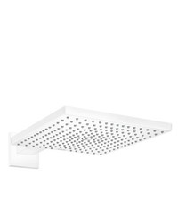 Hansgrohe shower head Raindance E 300 1jet 26238700