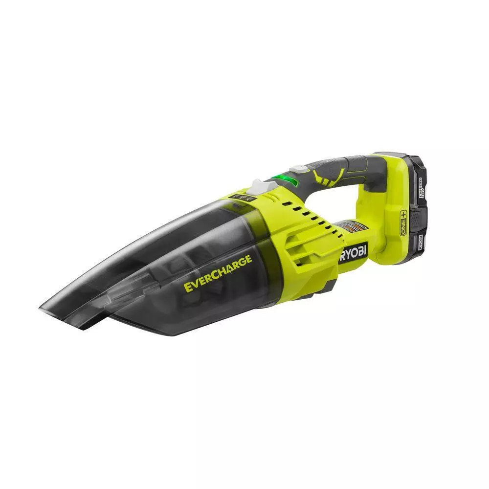 Ryobi 2024 spa vacuum