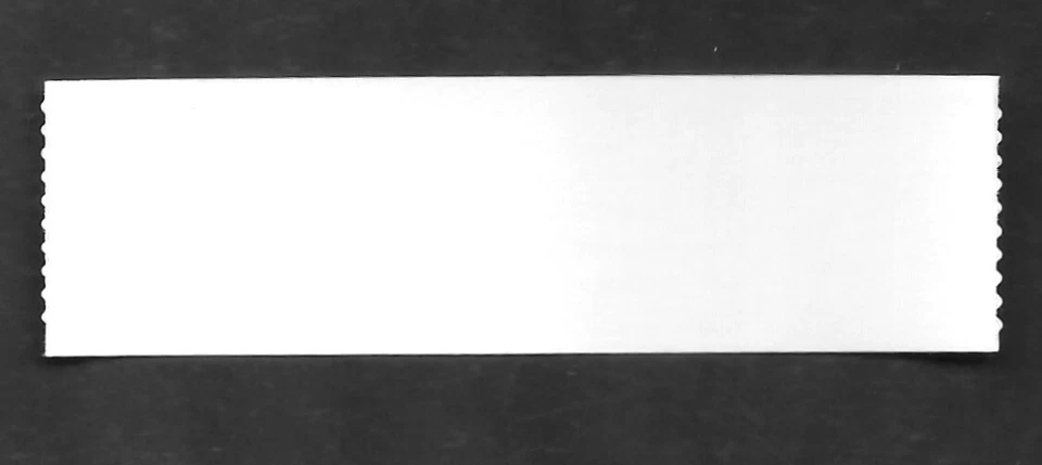 US FLAGS 2024 APU 4 FLAG DESIGNS FOREVER STAMPS 5871-5874 5874a MXF DIE-CUT 9.25 - Image 2 of 3