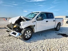 F150      2019 Headrest 1721117