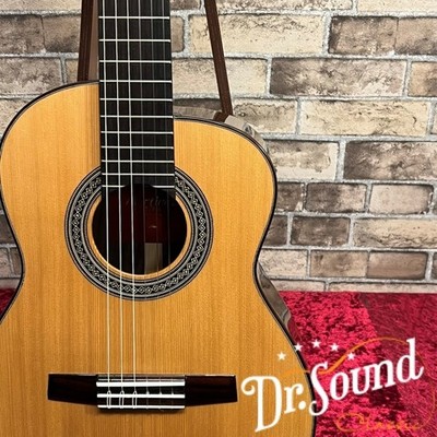 Martinez Alto [Used] w/soft case