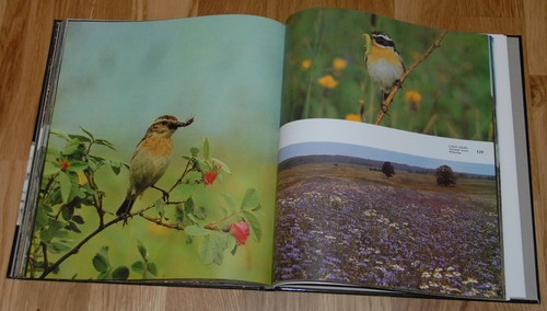 BIRDS OF LATVIA AMAZING ILLUSTRATED ALBUM 1986 BOOK ENGLISH LATVIAN RUSSIAN - Imagen 10 de 12