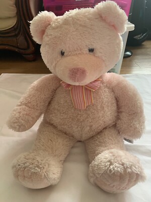 Pink Teddy Bear Large 20
