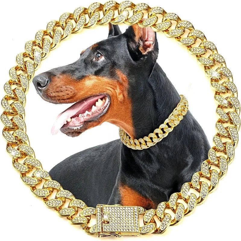 Pitbull Chain for sale | eBay