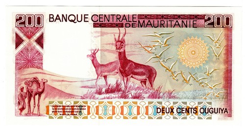 1975 1977 Mauritania 100 200 1000 Ouguiya Banknotes P3A 3B 3C low Serial 006076 - Picture 4 of 5