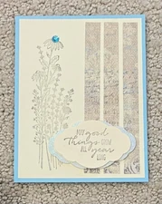 DSP dragonfly garden friend thank you get well card kit of 10 made w/ Stampin Up