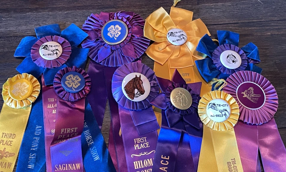 Lote de 10 cintas de exhibición de caballos de los años 60-80 rosetas artesanías Saginaw Bay Hiloma MI #46 Foto 2 de 4