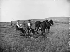 Harvest Time Malin Head Co Donegal Ireland c1900 OLD PHOTO