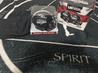 Thea Hail Fanatics Underwraps Autographed WWE Wrestlemania Mini Helmet 15/25