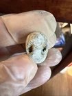 Dug Civil War 💥 🇺🇸 💣 Unique Confederate Enfield Bullet 3x Wormed PH