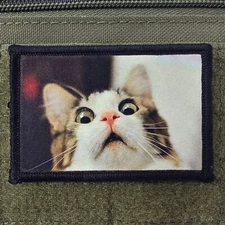 Shocked Cat Patch Moral Tactical Military Army USA Flag Hook & Loop