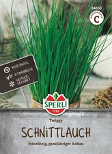 Sperli Schnittlauchsamen Twiggy – Feinröhriger, aromatischer Schnittlauch
