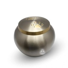 Golden Medium Size Brass Pet Dogs Cat Memorial Urn with Paw Print for Cremation