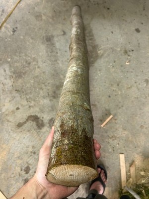 VINE MAPLE Bow Stave/Archery/Turning Wood/Short Bow 71'' 