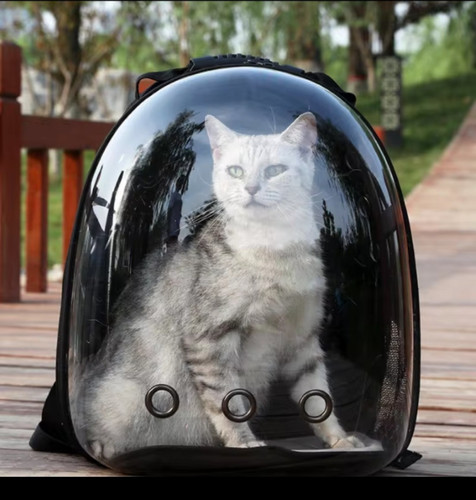 Pet Portable Carrier Backpack Space Capsule Travel Dog Cat Bag Transparent US