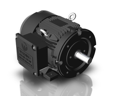 Techtop GR3-CI-TF-184TC-6-B-D-2 Motor 2 HP 1200 Rpm 3PH 230/460 Volt 184TC Frame