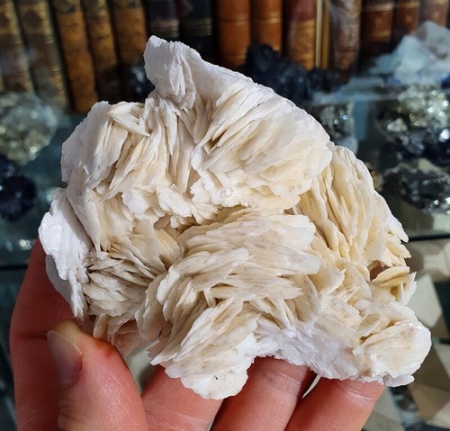 Baryte, Mine de Baugis, Saint-Bresson, Le Vigan, Gard (30), Occitanie, Fr - Picture 10 of 10