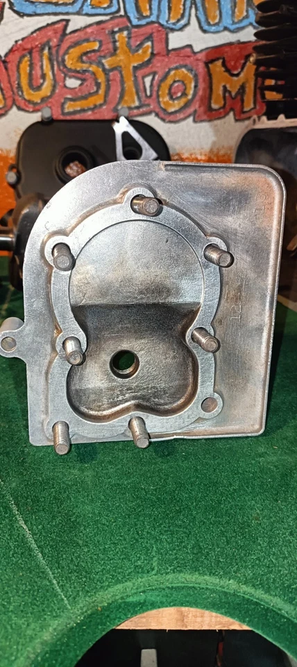 Motor Briggs And Stratton 5hp bloque corto doble eje/ext. Cam Foto 2 de 4