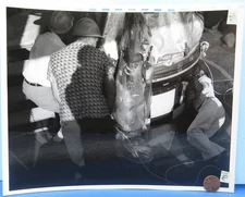 USAF NASA press PHOTO '60 vtg Mercury Capsule / Mating to MR-1 186