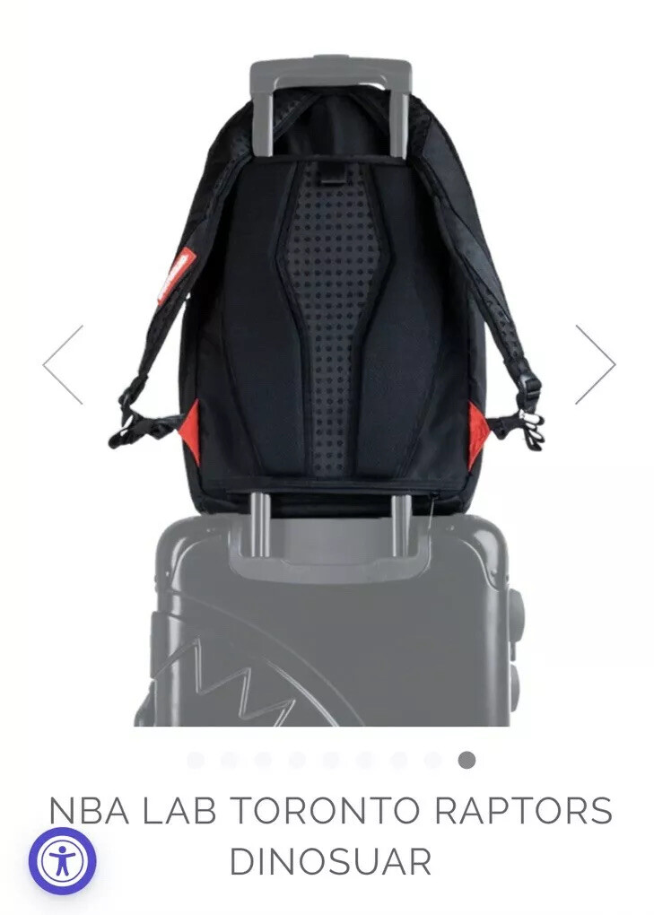 toronto raptors sprayground