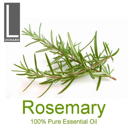 Rosemary Essential Oils - 100% Pure Aromatherapy Grade- 10ml, 50ml, 100ml - Picture 2 of 3