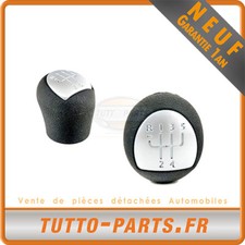 Pommeau Levier De Vitesse Chromé Pour Renault Clio 2 Kangoo Twingo