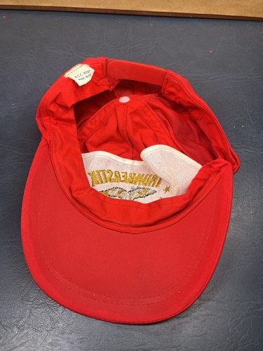 Vintage Thunderstik Lodge South Dakota Pheasant Hunt Red Gold Snapback Hat Hotel - Picture 6 of 7