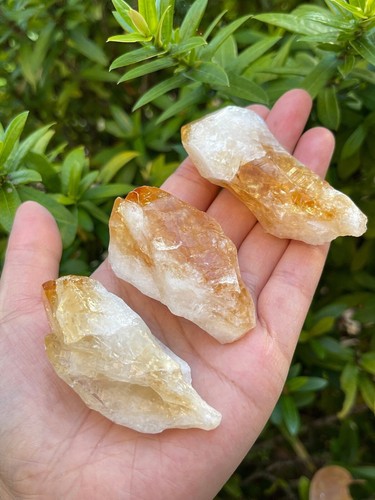 XL Citrine Point - Healing Crystal 2-3" | Citrine Point for Energy & Wellness - Picture 7 of 16