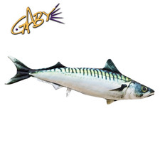 مقتنيات Oreiller poisson
