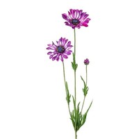 Artplants KüNstlicher Zweig Margerite Nielay, Lila, 65Cm