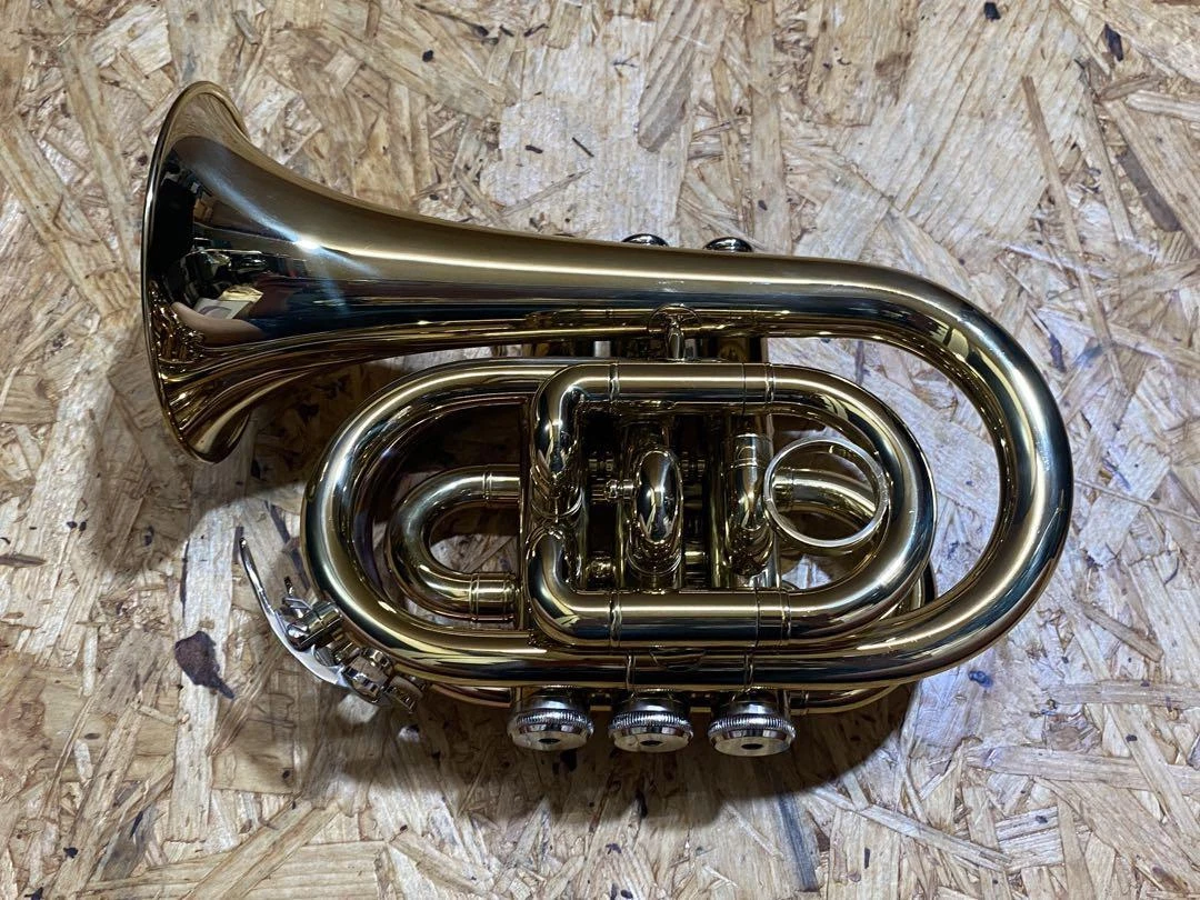 Twinkle L Briller Pocket Trumpet With Case mouthpiece | eBay