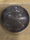 1998 American Silver Eagle Coin Toned Light Rainbow Toning