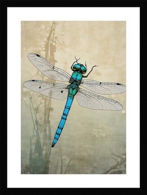 Kühne Libelle gerahmtes Wandbild Poster Leinwanddruck Bild