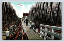 View Haven Docks & Sailboats Fishing Boats Marken Holland Netherlands Postcard