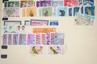 Bild 11 von 24