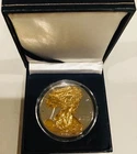 2010 American Silver Eagle 1oz SILVER Coin with 24K GOLD GILDED, PROOF-LIKE