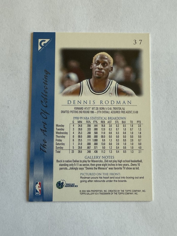 1999 Topps Gallery Dennis Rodman #37 Dallas Mavericks Basketball 90s ...