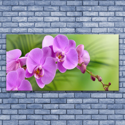 Acrylglasbilder Wandbilder aus Plexiglas  140x70 Blumen Gebäude